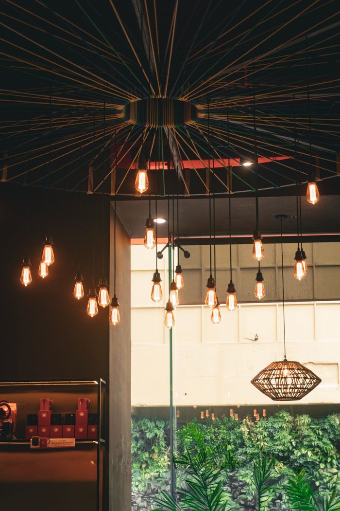 Stylish indoor lighting setup featuring Edison bulbs in a modern setting.